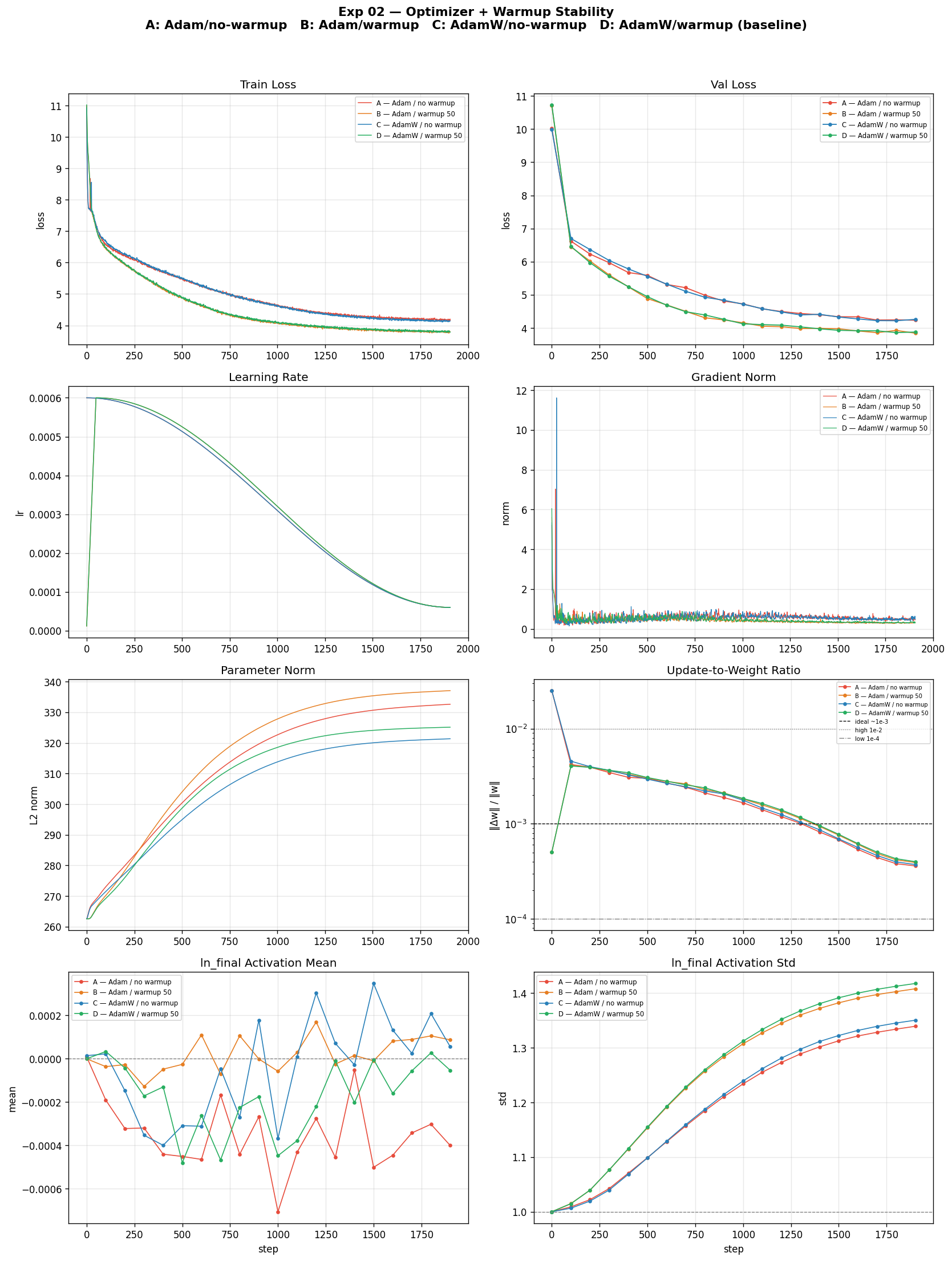 Exp 02 — optimizer × warmup comparison